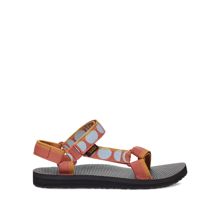 teva haze